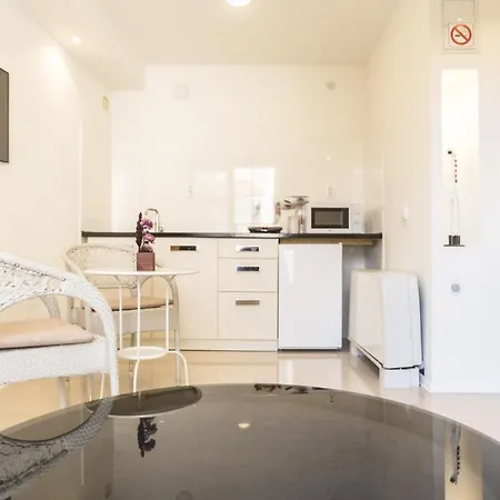 Aloha With Pool 公寓 斯科普里