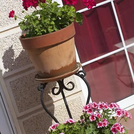 Aloha With Pool Skopje