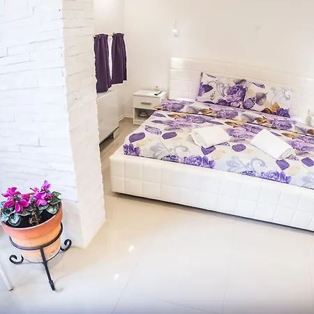 公寓 Aloha With Pool 斯科普里