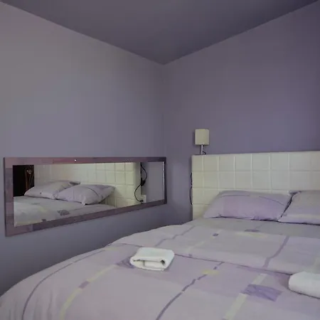 Aloha With Pool 公寓 斯科普里