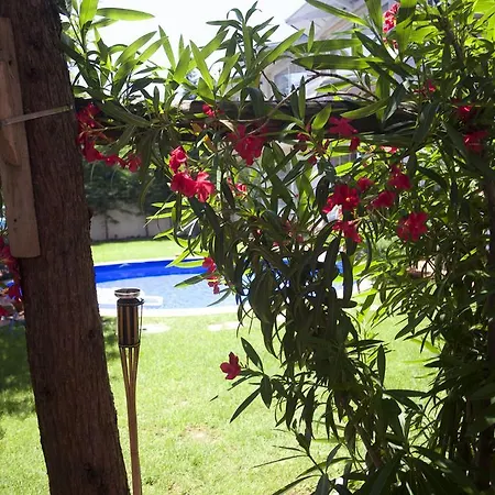Aloha Apartments With Pool Skopje