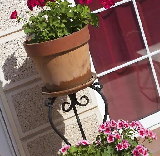 Aloha With Pool Escópia