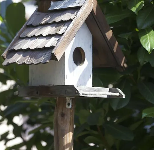 Aloha With Pool Apartament