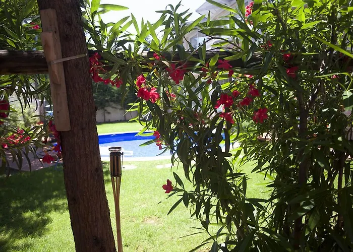 Aloha With Pool Escópia